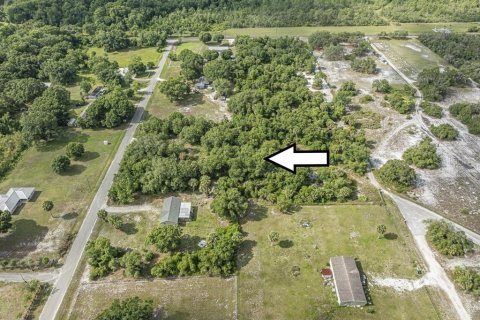 Land in Okeechobee, Florida № 1881001 - photo 18