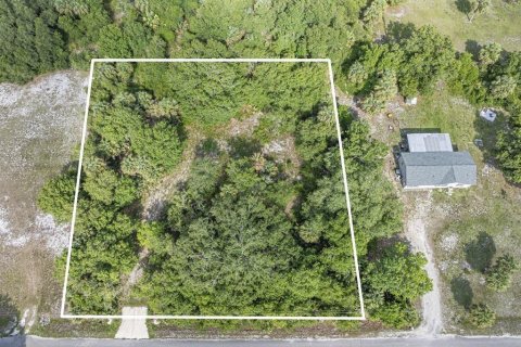 Land in Okeechobee, Florida № 1881001 - photo 11