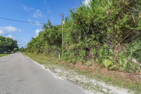 Land in Okeechobee, Florida № 1881001 - photo 4