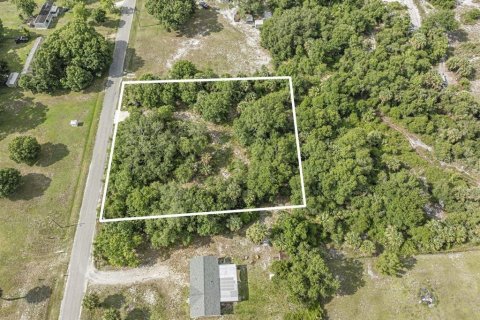 Land in Okeechobee, Florida № 1881001 - photo 14