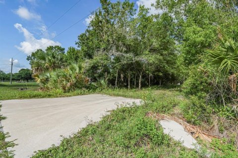Land in Okeechobee, Florida № 1881001 - photo 8