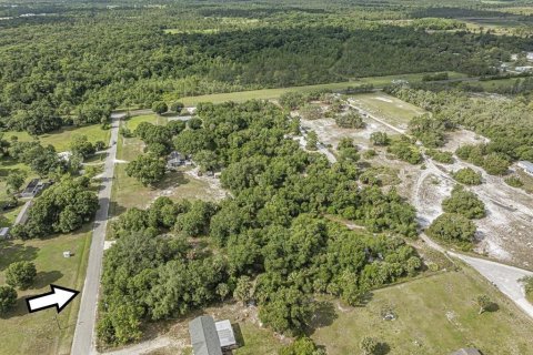 Land in Okeechobee, Florida № 1881001 - photo 19