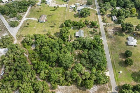 Land in Okeechobee, Florida № 1881001 - photo 13