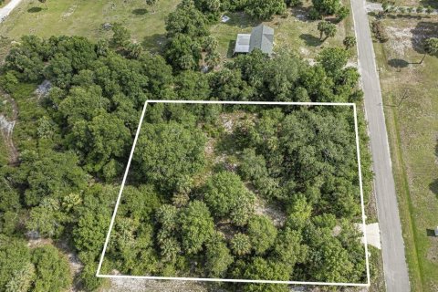 Land in Okeechobee, Florida № 1881001 - photo 5