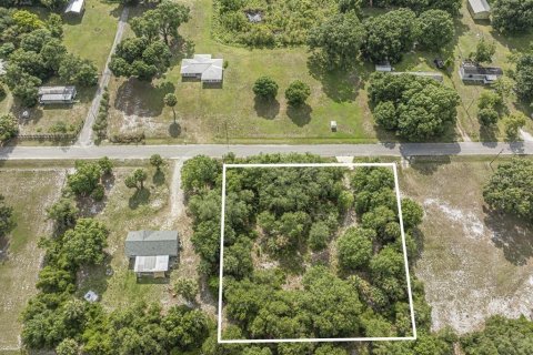 Land in Okeechobee, Florida № 1881001 - photo 15