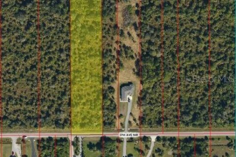 Land in Naples, Florida № 1789884 - photo 2