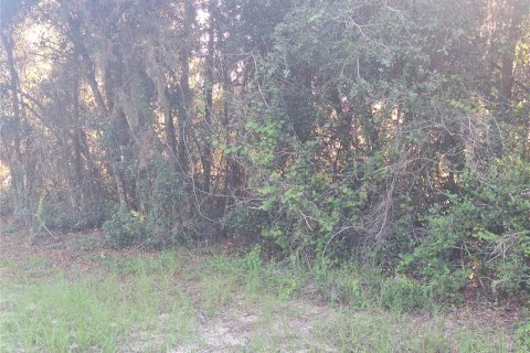 Land in Deltona, Florida № 2162071