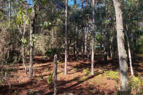 Terreno en venta en Interlachen, Florida № 771819 - foto 1
