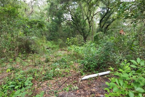 Land in Spring Hill, Florida № 1034262 - photo 20