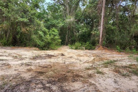 Land in Spring Hill, Florida № 1034262 - photo 10