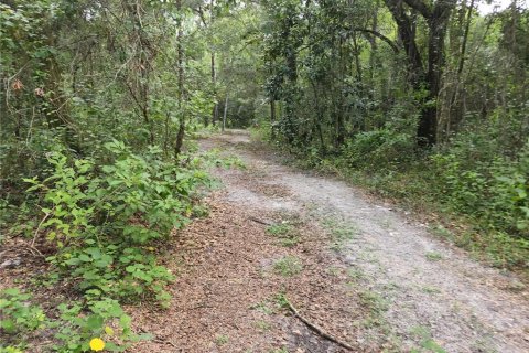 Land in Spring Hill, Florida № 1034262 - photo 19