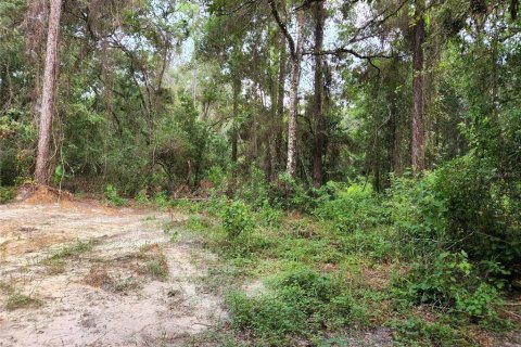 Land in Spring Hill, Florida № 1034262 - photo 11