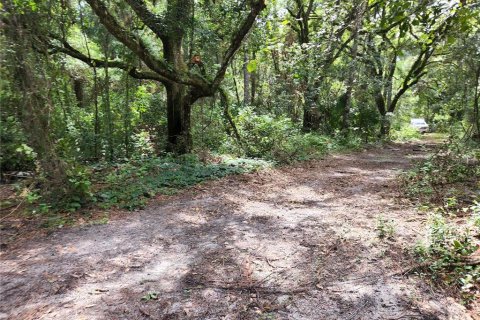 Land in Spring Hill, Florida № 1034262 - photo 26