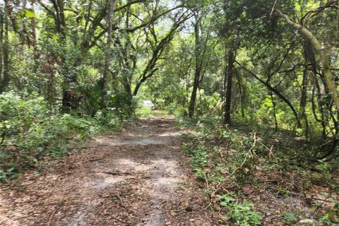 Land in Spring Hill, Florida № 1034262 - photo 28