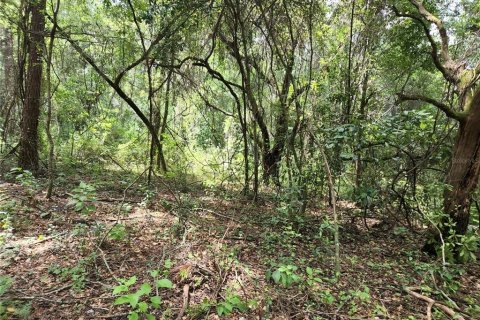 Land in Spring Hill, Florida № 1034262 - photo 29