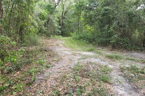 Land in Spring Hill, Florida № 1034262 - photo 14