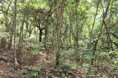 Land in Spring Hill, Florida № 1034262 - photo 25