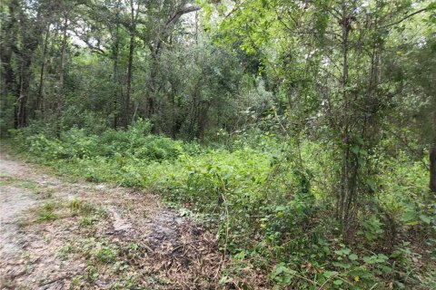 Land in Spring Hill, Florida № 1034262 - photo 17