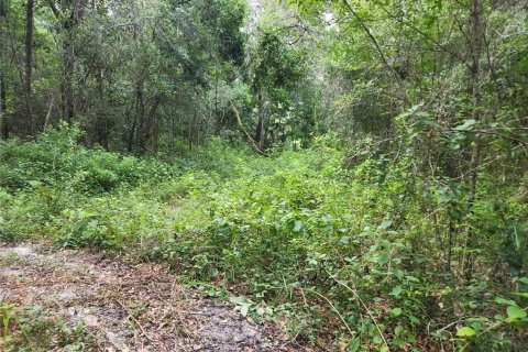 Land in Spring Hill, Florida № 1034262 - photo 18