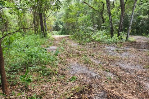 Land in Spring Hill, Florida № 1034262 - photo 22