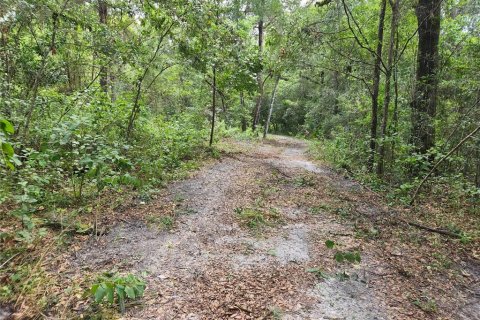 Land in Spring Hill, Florida № 1034262 - photo 21