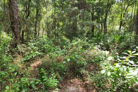 Land in Spring Hill, Florida № 1034262 - photo 30
