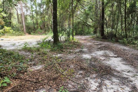 Land in Spring Hill, Florida № 1034262 - photo 23