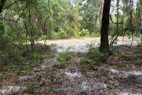 Land in Spring Hill, Florida № 1034262 - photo 24