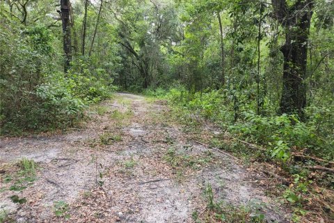 Land in Spring Hill, Florida № 1034262 - photo 15