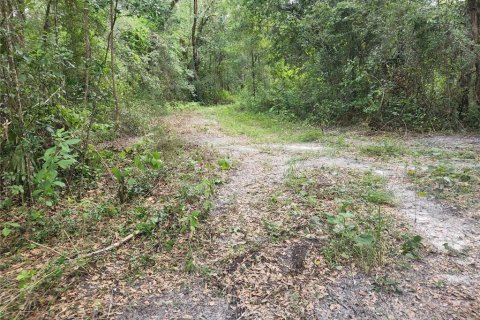 Land in Spring Hill, Florida № 1034262 - photo 13