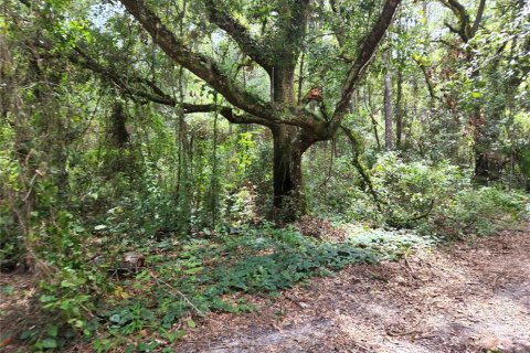 Land in Spring Hill, Florida № 1034262 - photo 27