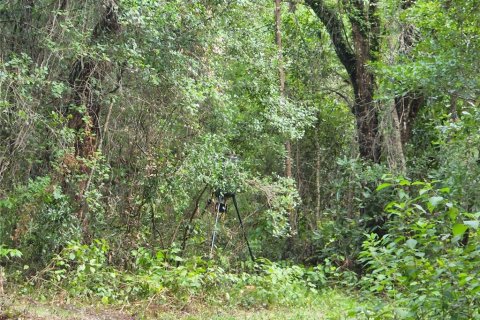 Land in Spring Hill, Florida № 1034262 - photo 16