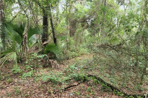 Land in Spring Hill, Florida № 1034262 - photo 8