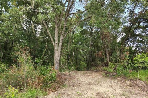 Land in Spring Hill, Florida № 1034262 - photo 4
