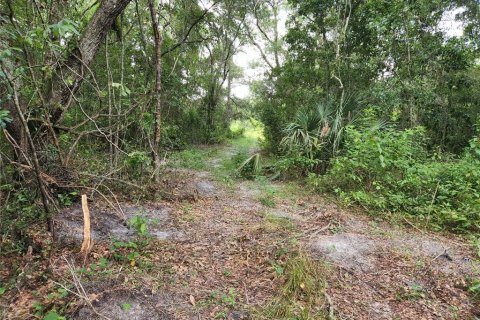 Land in Spring Hill, Florida № 1034262 - photo 12