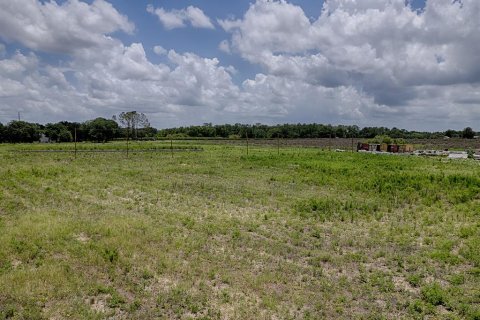 Terrain à vendre à Groveland, Floride № 2213668 - photo 6