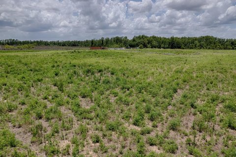 Terrain à vendre à Groveland, Floride № 2213668 - photo 2