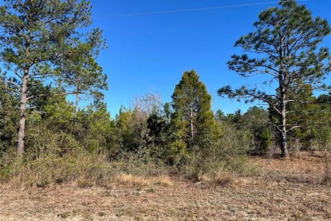 Land in Marianna, Florida № 2159401