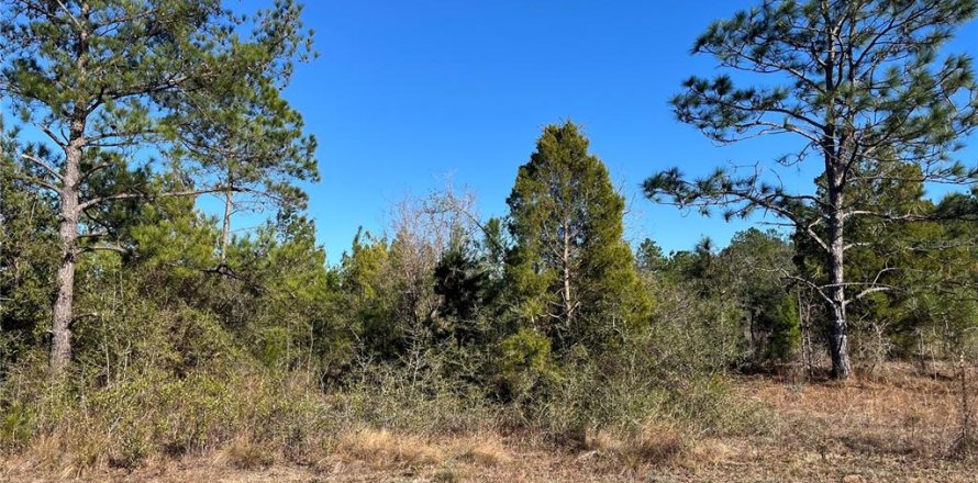 Land in Marianna, Florida № 2159401