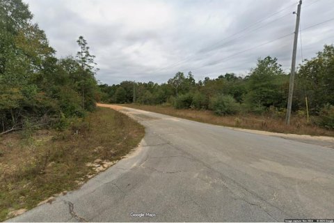 Land in Chipley, Florida № 2160087