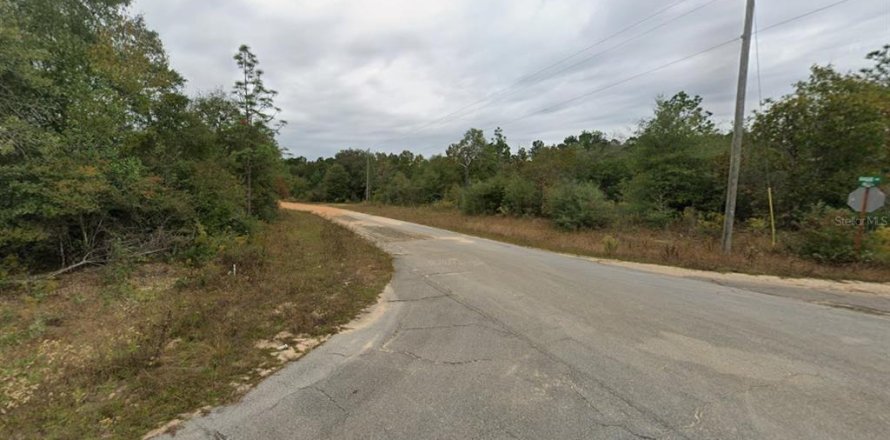 Land in Chipley, Florida № 2160087