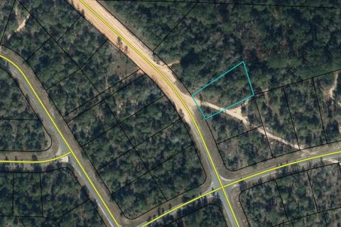 Land in Chipley, Florida № 2160087 - photo 2