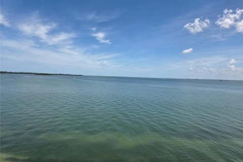 Copropriété à louer à Dunedin, Floride: 2 chambres, 90.58 m2 № 2114501 - photo 9