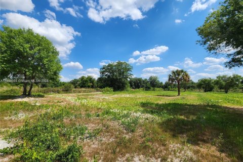 Land in Okeechobee, Florida № 1828321 - photo 9