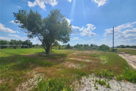 Land in Okeechobee, Florida № 1828321 - photo 12