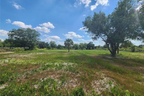 Land in Okeechobee, Florida № 1828321 - photo 14
