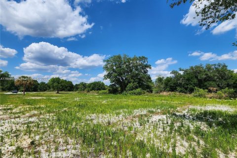 Land in Okeechobee, Florida № 1828321 - photo 16