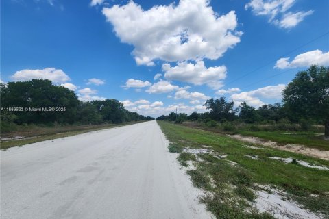 Land in Okeechobee, Florida № 1828321 - photo 22