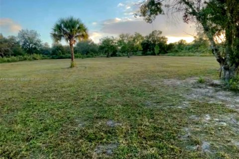 Land in Okeechobee, Florida № 1828321 - photo 1