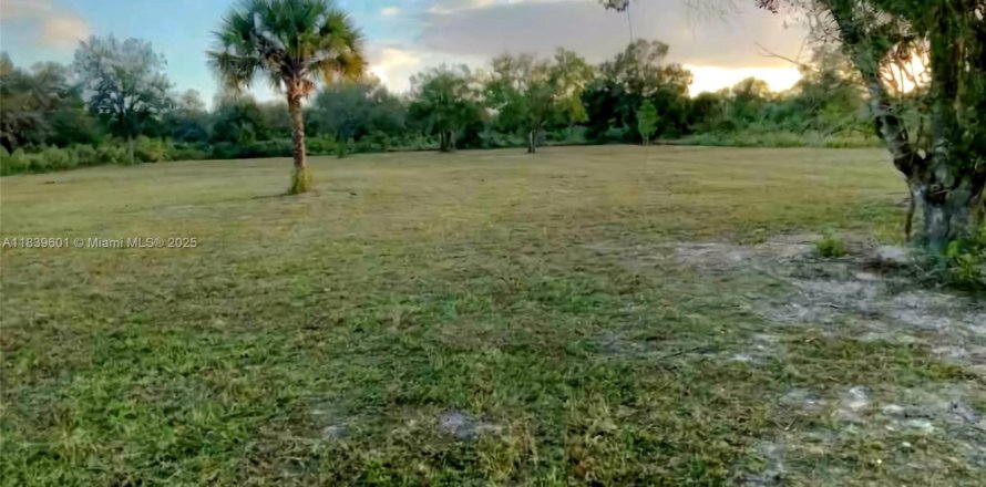 Land in Okeechobee, Florida № 1828321
